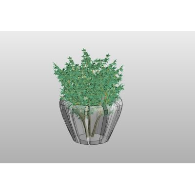Glass Vase with Lush Foliage