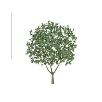 3D bush with realistic lush foliage 8 3d tree
