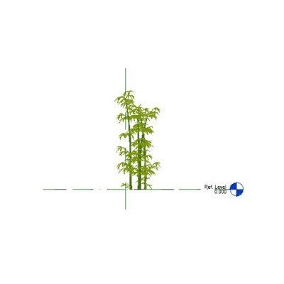 Bamboo Plant 01