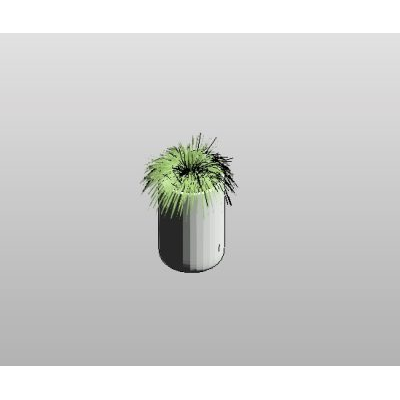 Plant with Long Leaves