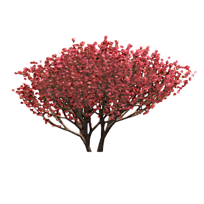 RPC Plant - Tropical