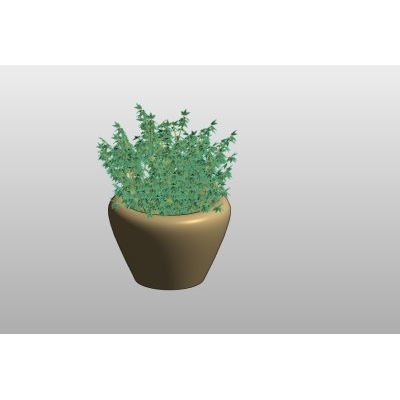 Glass Vase with Vegetation