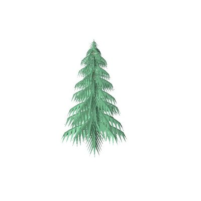 Evergreen Tree
