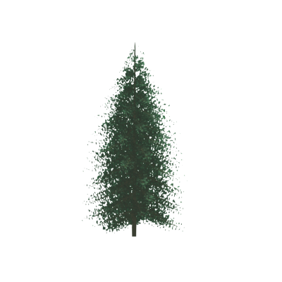 Coniferous tree with realistic canopy