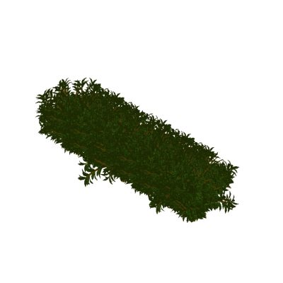 3D bush with realistic lush foliage 2 Realistic linear bush for revit