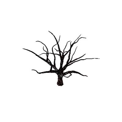 Bare Tree