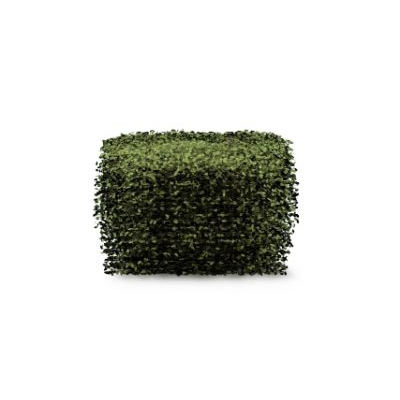 3D bush with realistic lush foliage 4 Bush