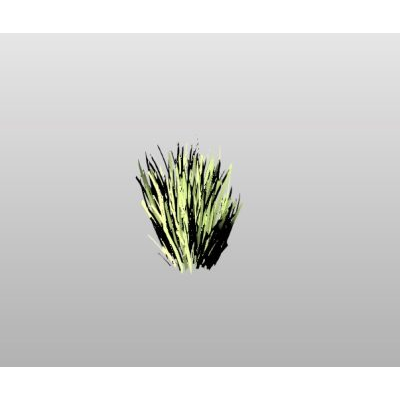 Spiky Plant Arrangement