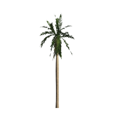 Palm tree modern minimalist 3D