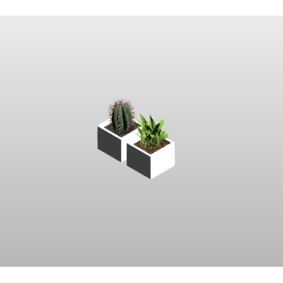 Bathroom Vegetation