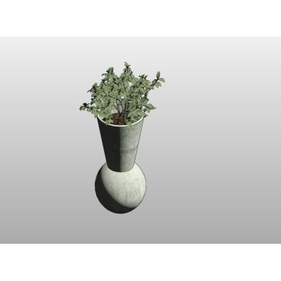 Chrome Vase with Vegetation