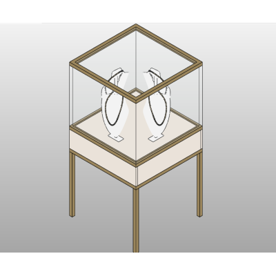 Elegant Jewelry Display Case