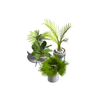 Modern Potted Greenery
