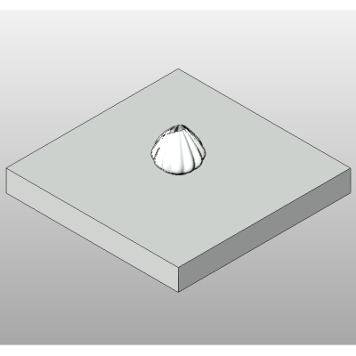 Elegant Shell Vase