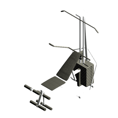 Multi-Station Home Gym