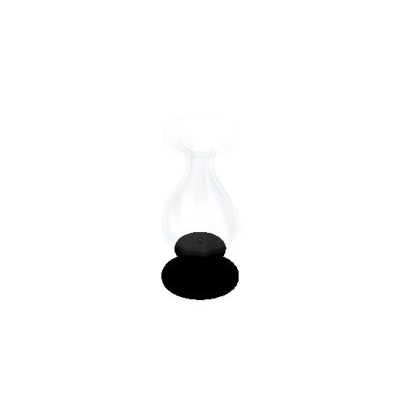 Transparent Glass Vase with Black Base