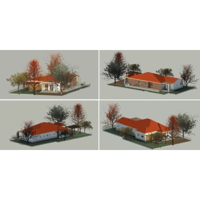 Modern house with detailed site plan