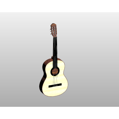Acoustic Guitar