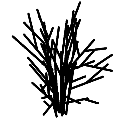 Shrub