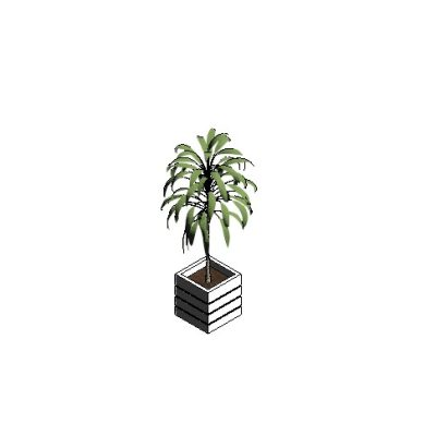 Decorative Plant