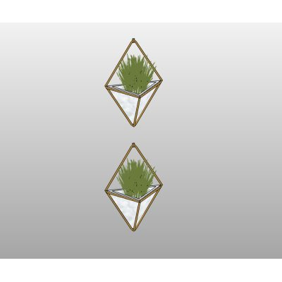 Hanging Terrariums Set