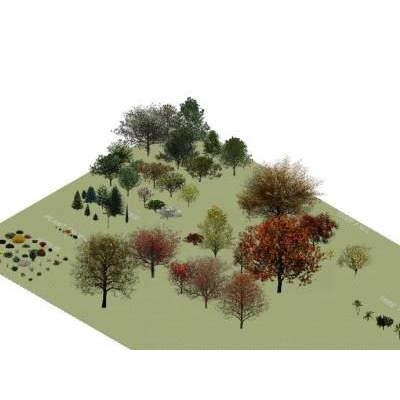 Vegetation