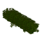 3D bush with realistic lush foliage