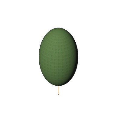 Oval-Shaped Tree