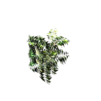 Hanging Shrub