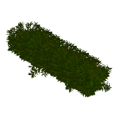 Line Drawing of a Shrub 2 3D bush with realistic lush foliage