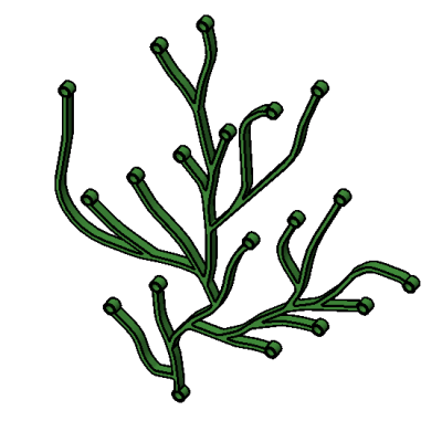 ALGA