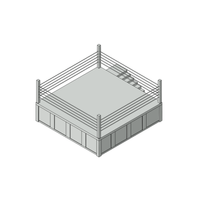 Professional Boxing Ring