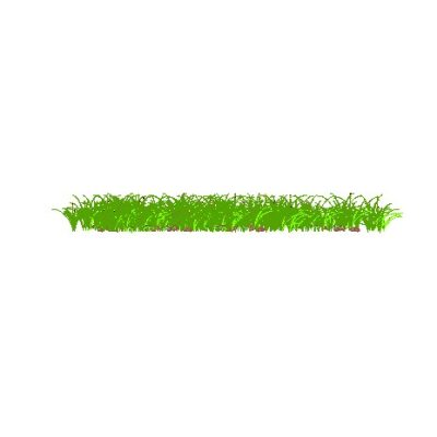 Dense Grass Patch
