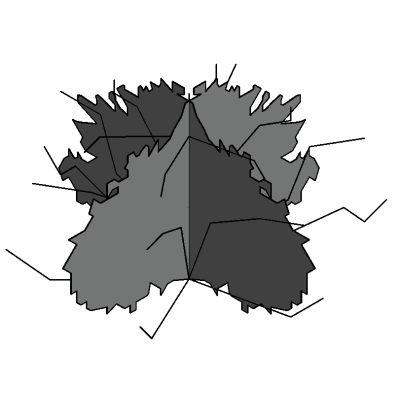 Shrub 2039hx4039w 4244